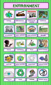 English Worksheet: ENVIRONMENT (20 words)