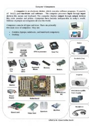 English Worksheet: Computers Components