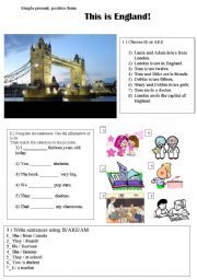 English Worksheet: simple present