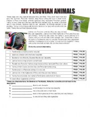 English Worksheet: PERUVIAN HAIRLESS DOG