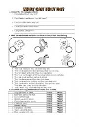 English Worksheet: ANIMALS QUIZ