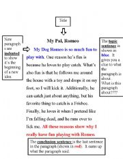 English Worksheet: Paragraph Text Features