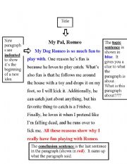 English worksheet: Paragraph Text Features