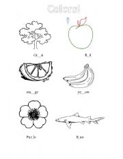 English Worksheet: color worksheet
