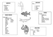 English Worksheet: describing animals