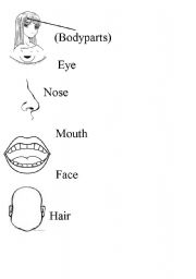English worksheet: Body parts (just face)