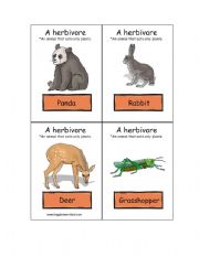 English worksheet: Herbivore