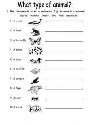 English Worksheet: Animals