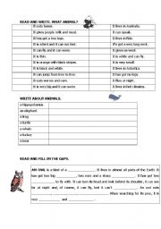 English worksheet: ANIMALS