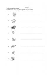 English worksheet: Insects