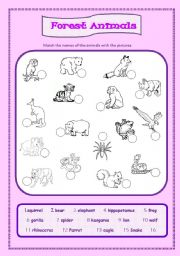 Forest Animals - ESL worksheet by ameliajesus