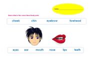 English worksheet: Parts of the Face