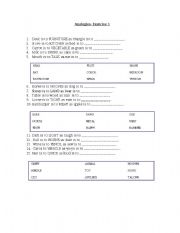 English Worksheet: Analogies