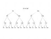 English Worksheet: Kit or Kite