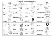 English Worksheet: animal (mammals) pictures