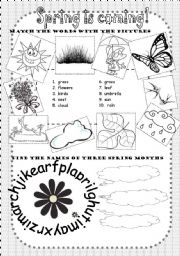 English Worksheet: spring worksheet