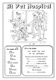 English Worksheet: At Pet Hospital