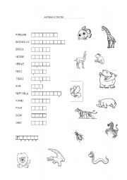 English worksheet: Animals from Africa