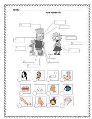 English Worksheet: Body parts