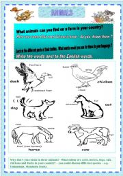 English worksheet: **animals**