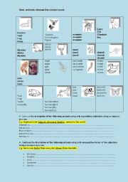 English worksheet: Quiz, animals, adjectives-comparative