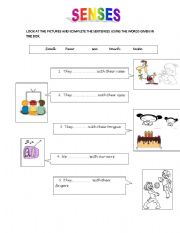 English Worksheet: senses