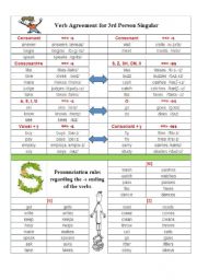 English Worksheet: Verb Agreement for 3rd Person Singular