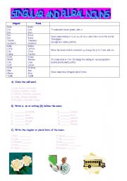 English worksheet: singular&plural