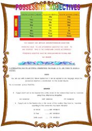 English Worksheet: possessive  adjectives