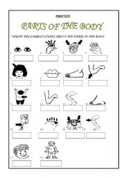 English Worksheet: PARTS OF THE BODY