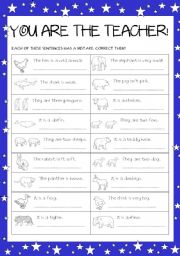 English Worksheet: You are the teacher!