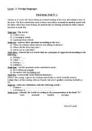 English worksheet: a test sample 