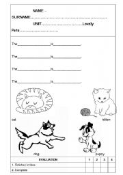 English worksheet: Pets and predicative adjectives using colour