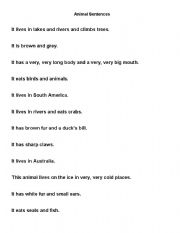 English Worksheet: animals