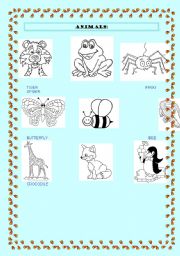 English worksheet: Animals vocabulary