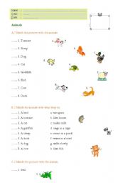 English Worksheet: Animals - Simple Present