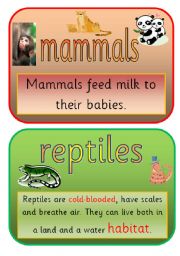 English Worksheet: THE ANIMAL KINGDOM FLASHCARDS- part 1