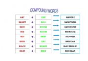 English Worksheet: compound words