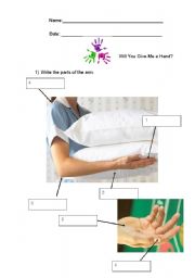 English worksheet: Arm