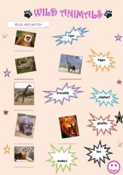 English worksheet: wild animals