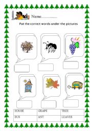 English worksheet: Name