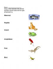 English worksheet: Classify animal groups