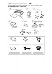 English worksheet: animal products