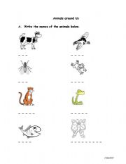English worksheet: Animals around Us
