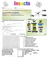 English Worksheet: Insects