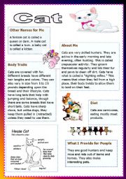 English Worksheet: cats