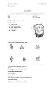 English worksheet: Forestry technicians test