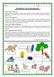 English Worksheet: Rainforests - reading + vocabulary