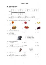 English worksheet: Science 1st grade