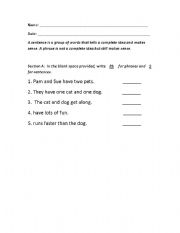 English Worksheet: Phrases and Sentences Practice
